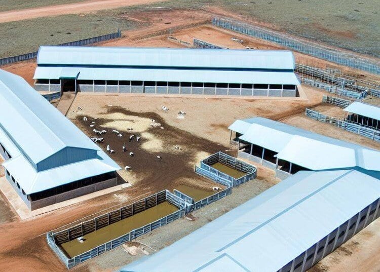 Cooperativas de carne de bovino