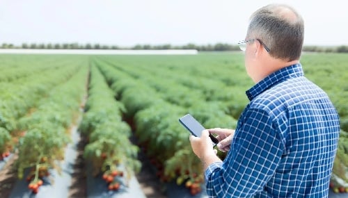 Software Isagri para sector agrícola